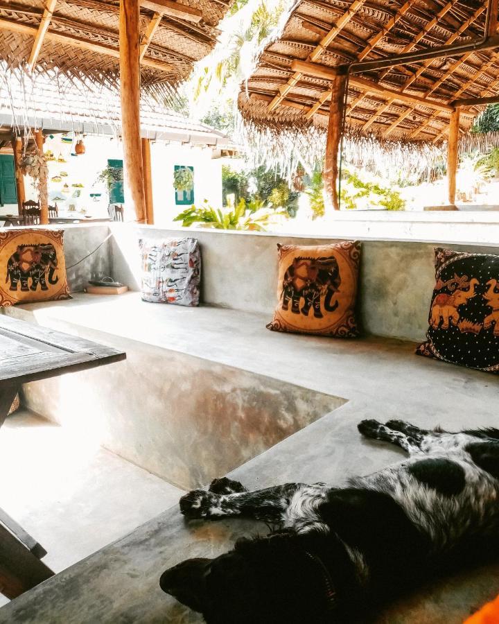 Lazy Monkey Sri Lanka Hostel Dikwella Luaran gambar